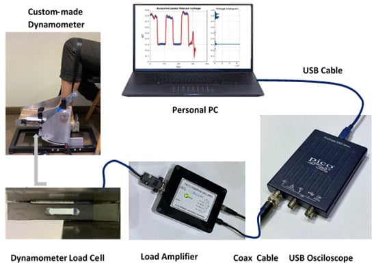 A Custom-Made Electronic Dynamometer for Evaluation of Peak Ankle Torque after COVID-19